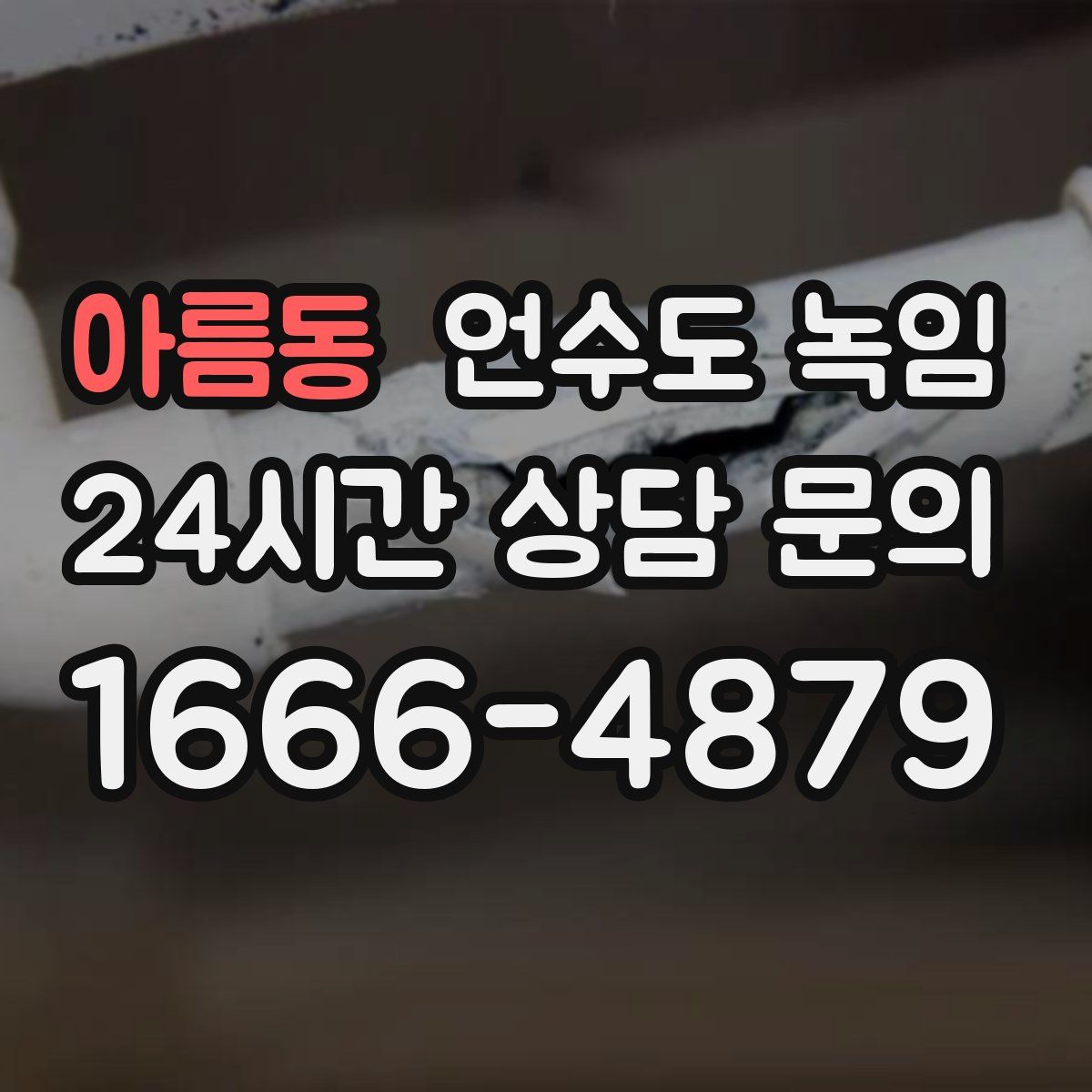 아름동 언수도 녹임