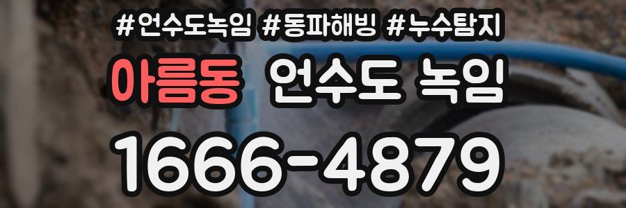 아름동 언수도 녹임