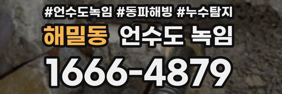 해밀동 언수도 녹임