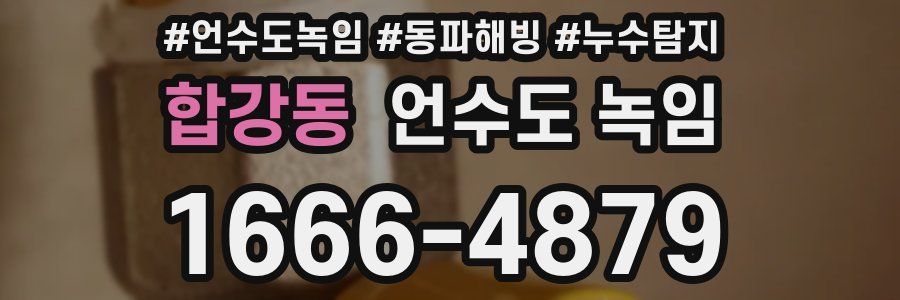 합강동 언수도 녹임