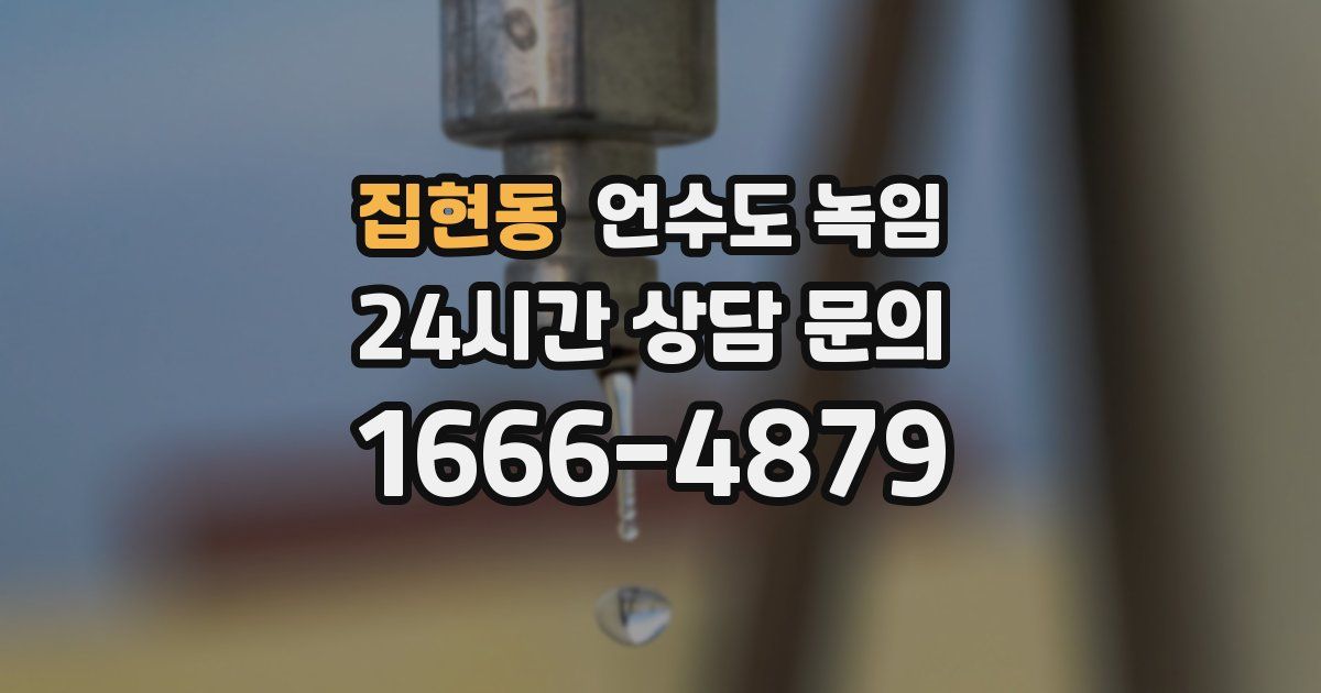 집현동 언수도 녹임