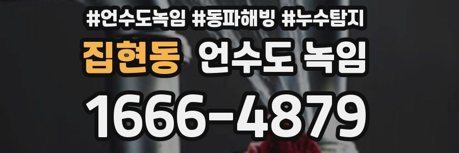 집현동 언수도 녹임