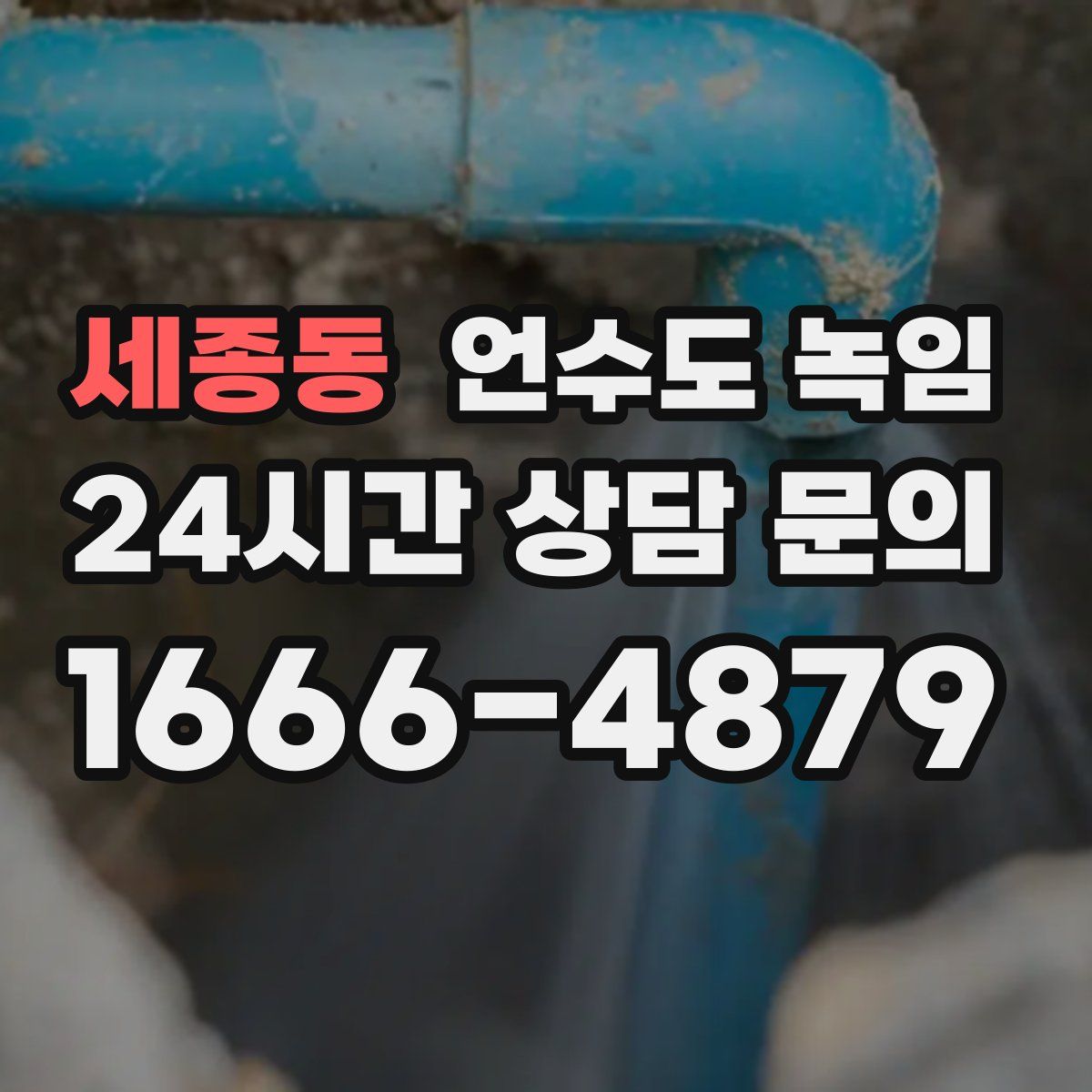 세종동 언수도 녹임