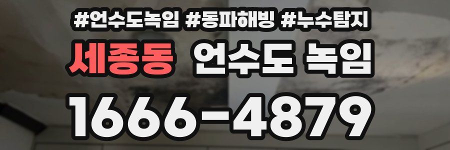 세종동 언수도 녹임