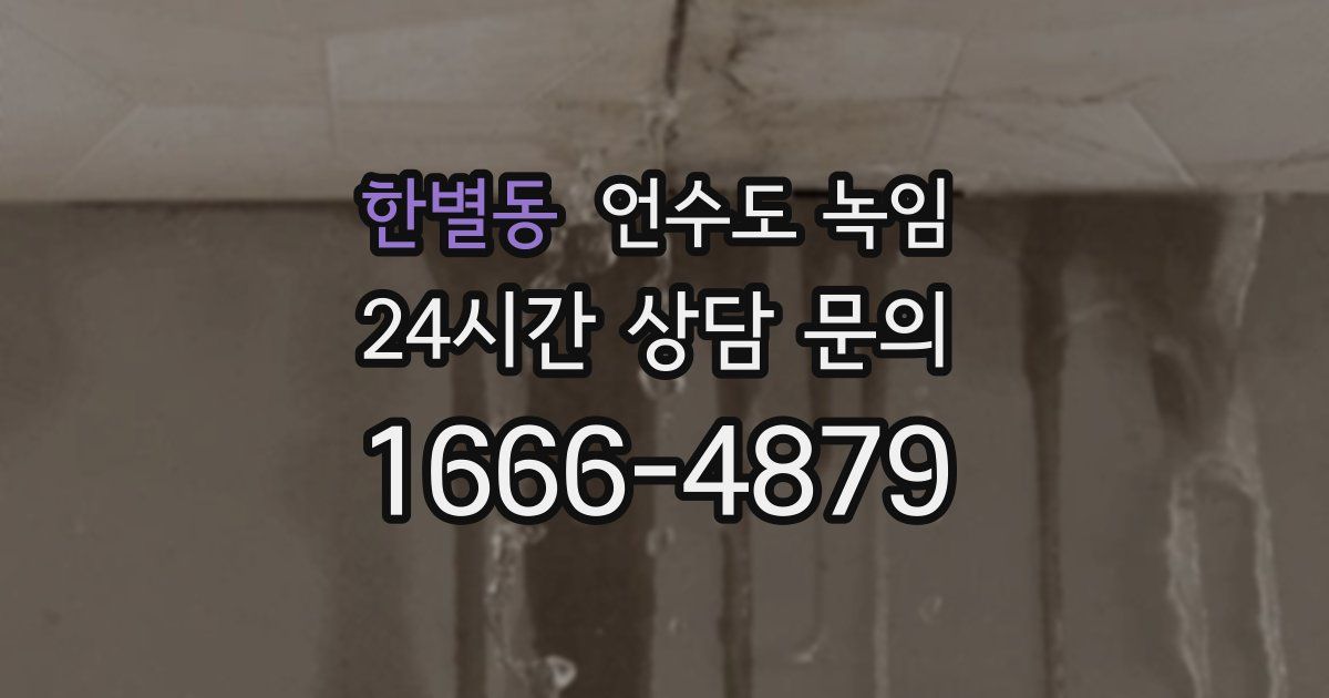 한별동 언수도 녹임