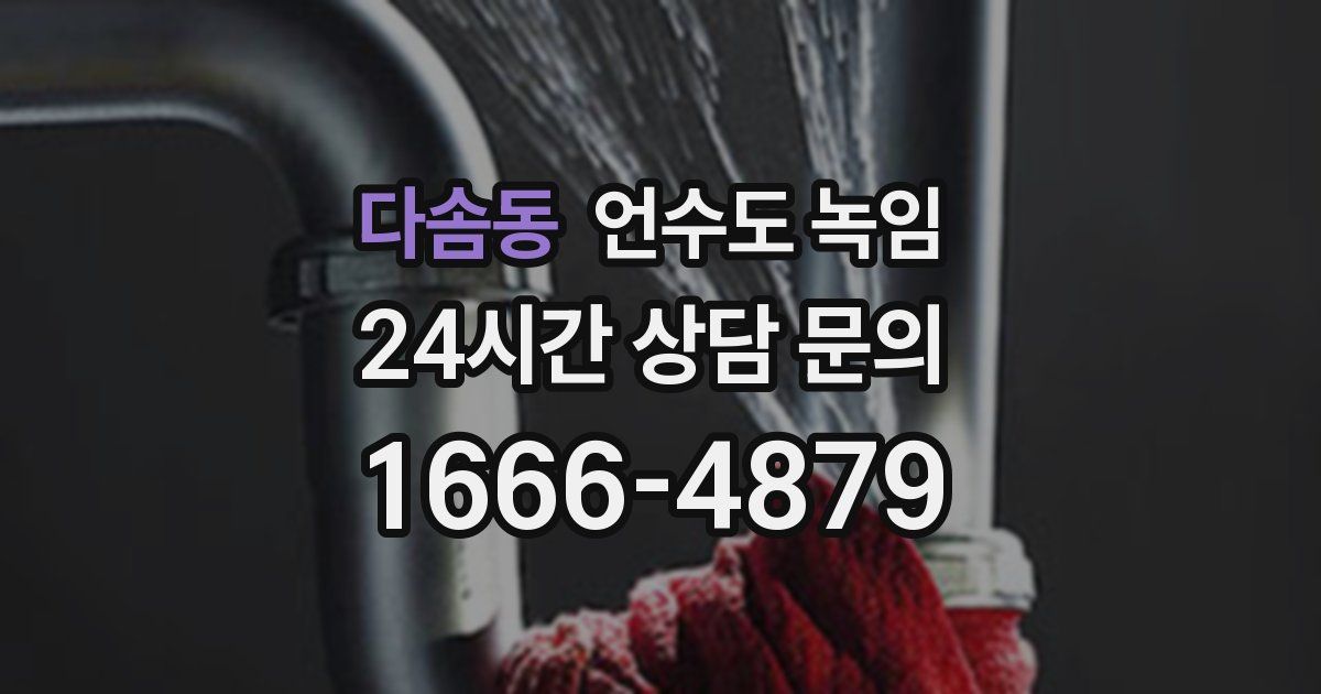 다솜동 언수도 녹임