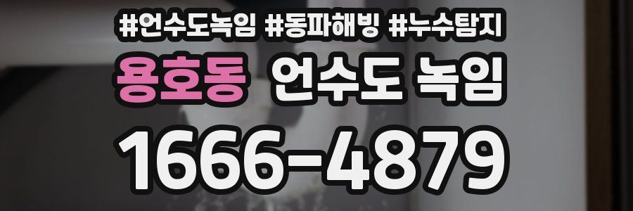 용호동 언수도 녹임