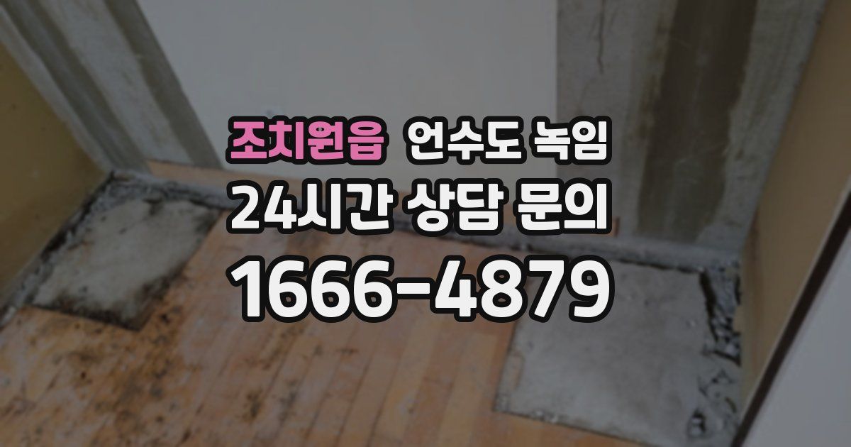 조치원읍 언수도 녹임