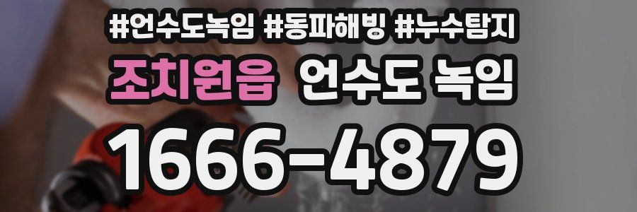 조치원읍 언수도 녹임