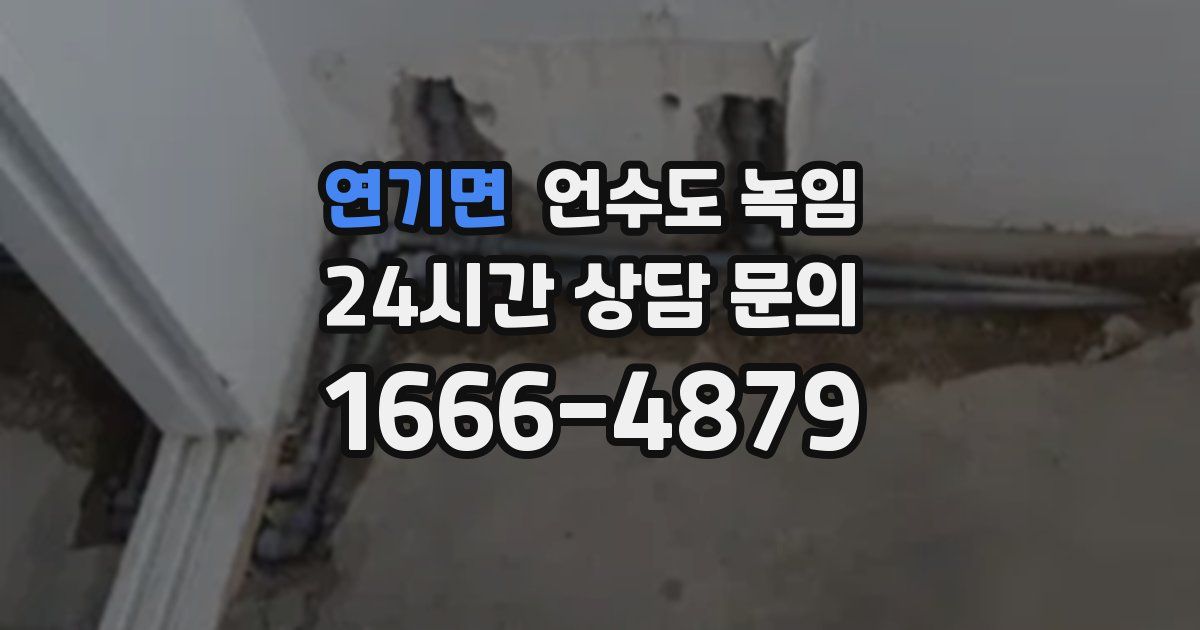 연기면 언수도 녹임