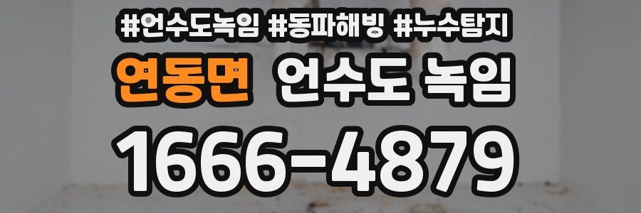 연동면 언수도 녹임