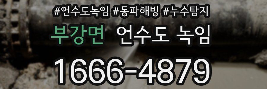 부강면 언수도 녹임