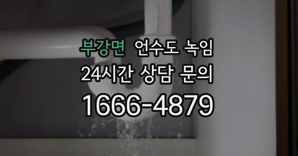 부강면 언수도 녹임