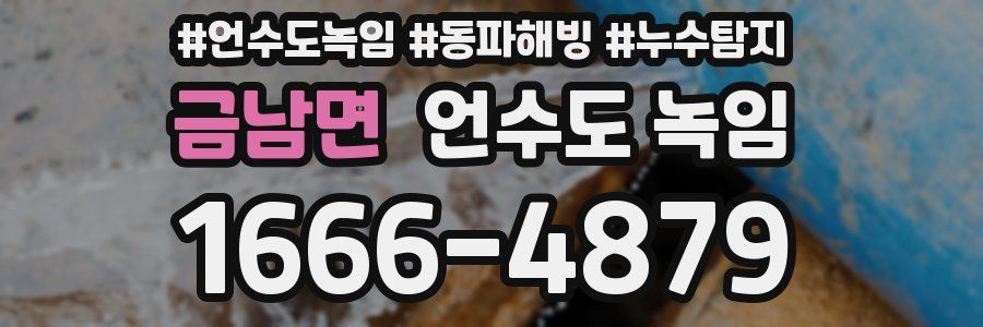 금남면 언수도 녹임