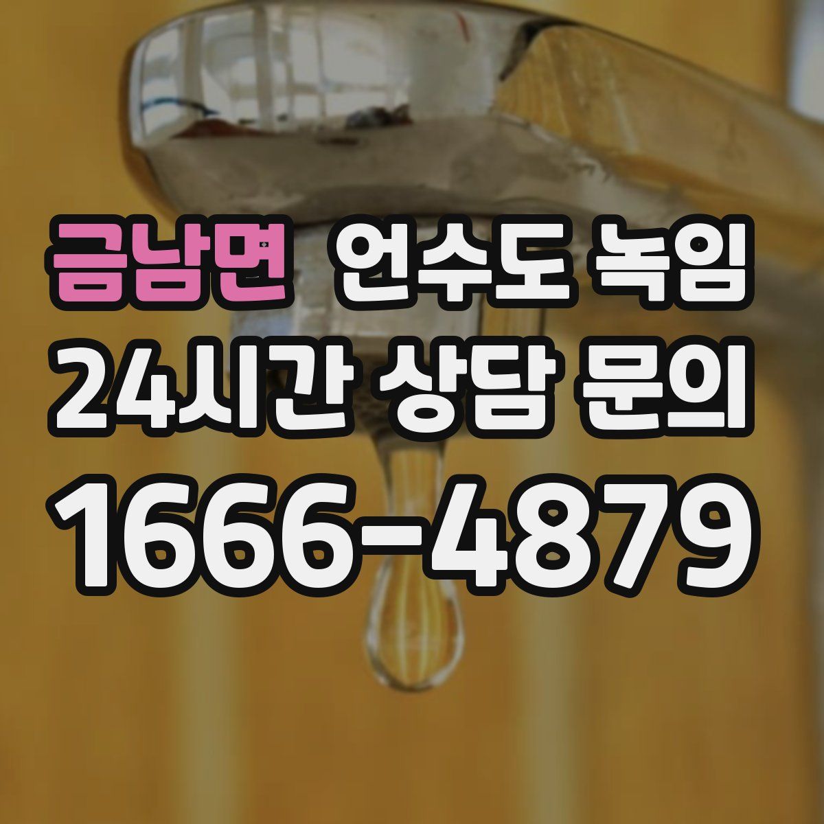 금남면 언수도 녹임