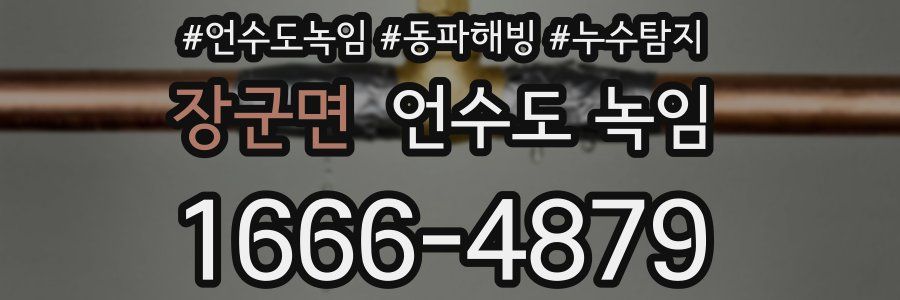 장군면 언수도 녹임