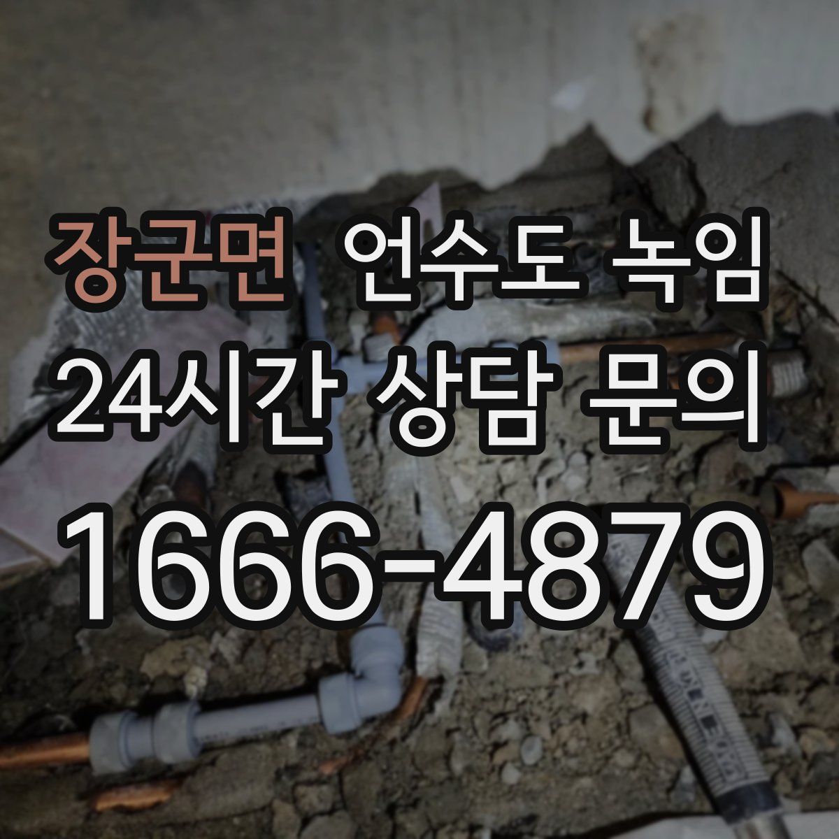 장군면 언수도 녹임