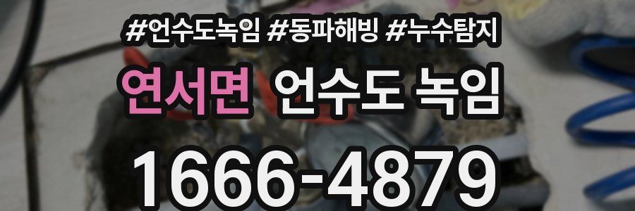 연서면 언수도 녹임