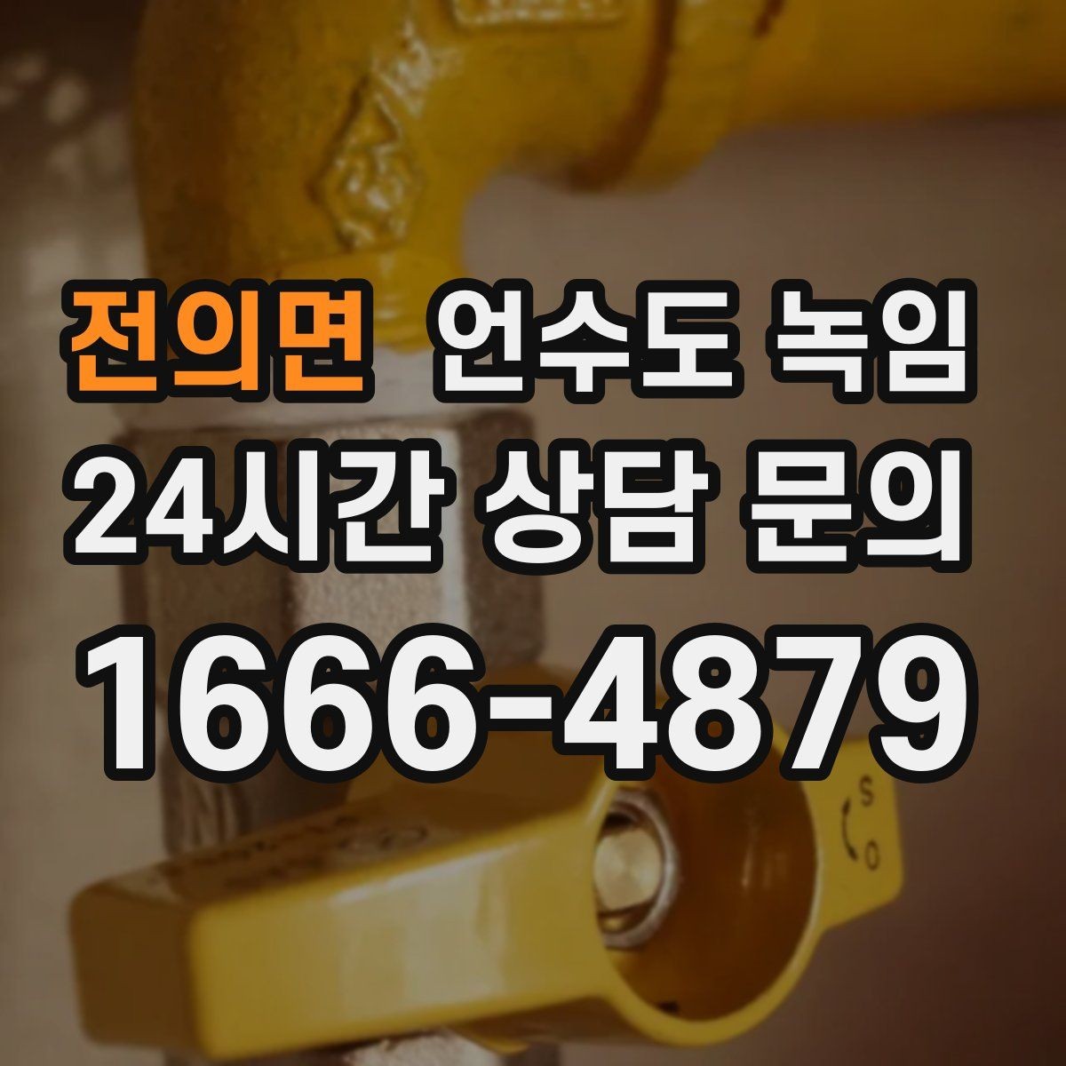 전의면 언수도 녹임 오늘 바로 해결하고 싶은 분을 위한 체크리스트
