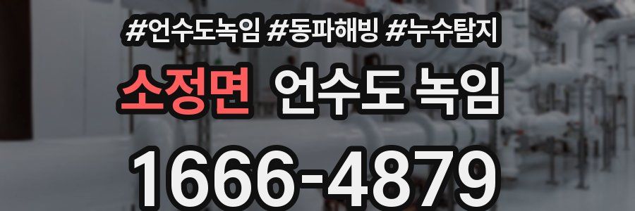 소정면 언수도 녹임