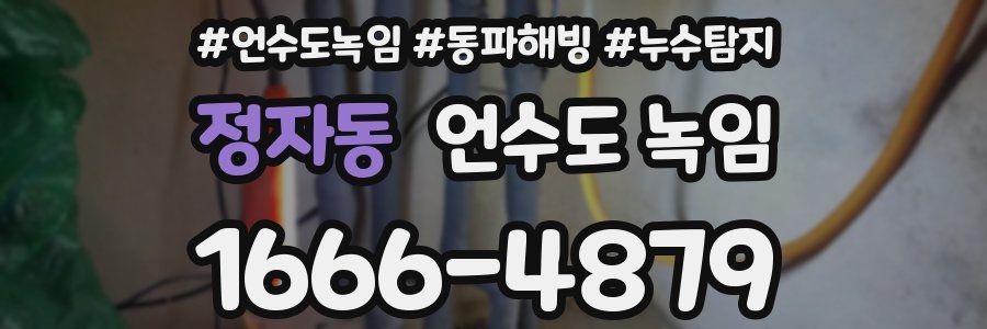 정자동 언수도 녹임