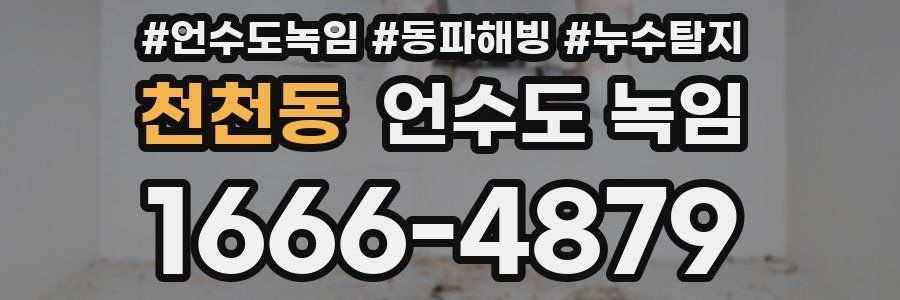 천천동 언수도 녹임