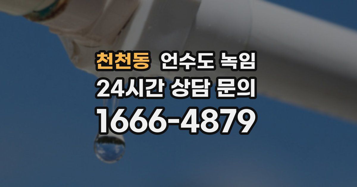 천천동 언수도 녹임