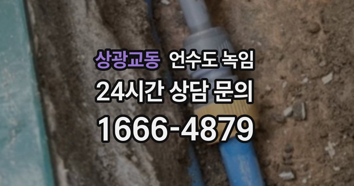 상광교동 언수도 녹임