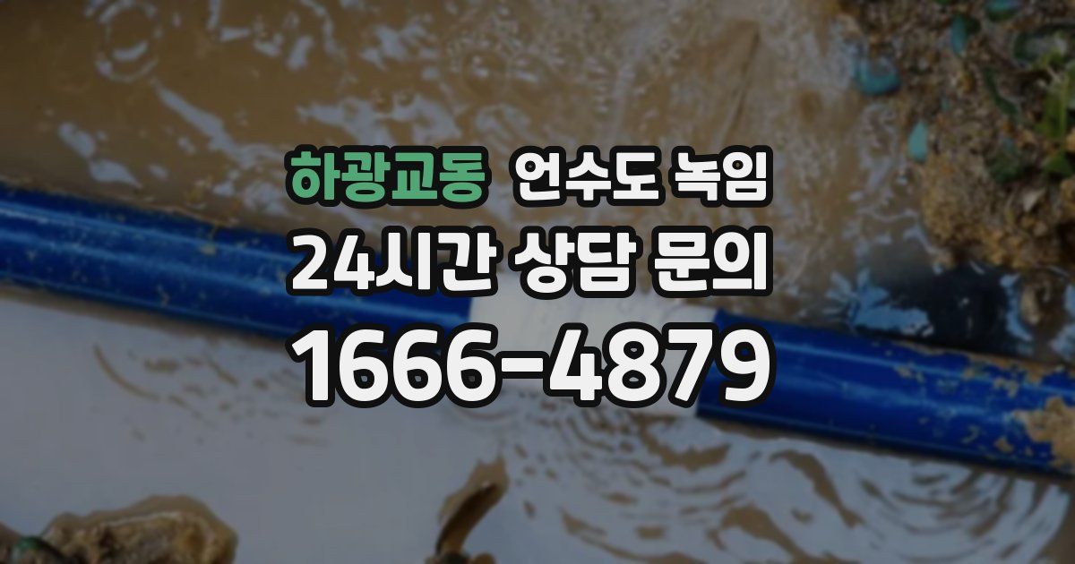 하광교동 언수도 녹임