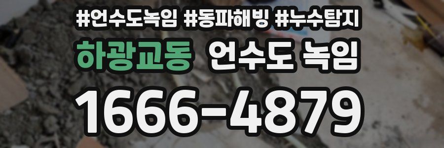 하광교동 언수도 녹임