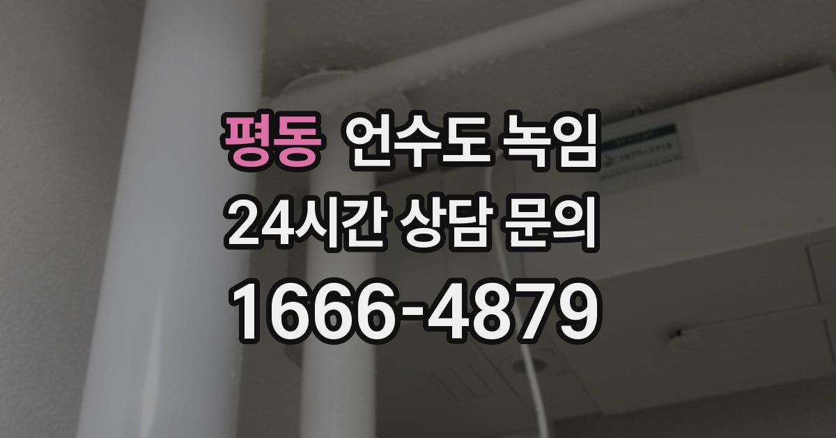 평동 언수도 녹임