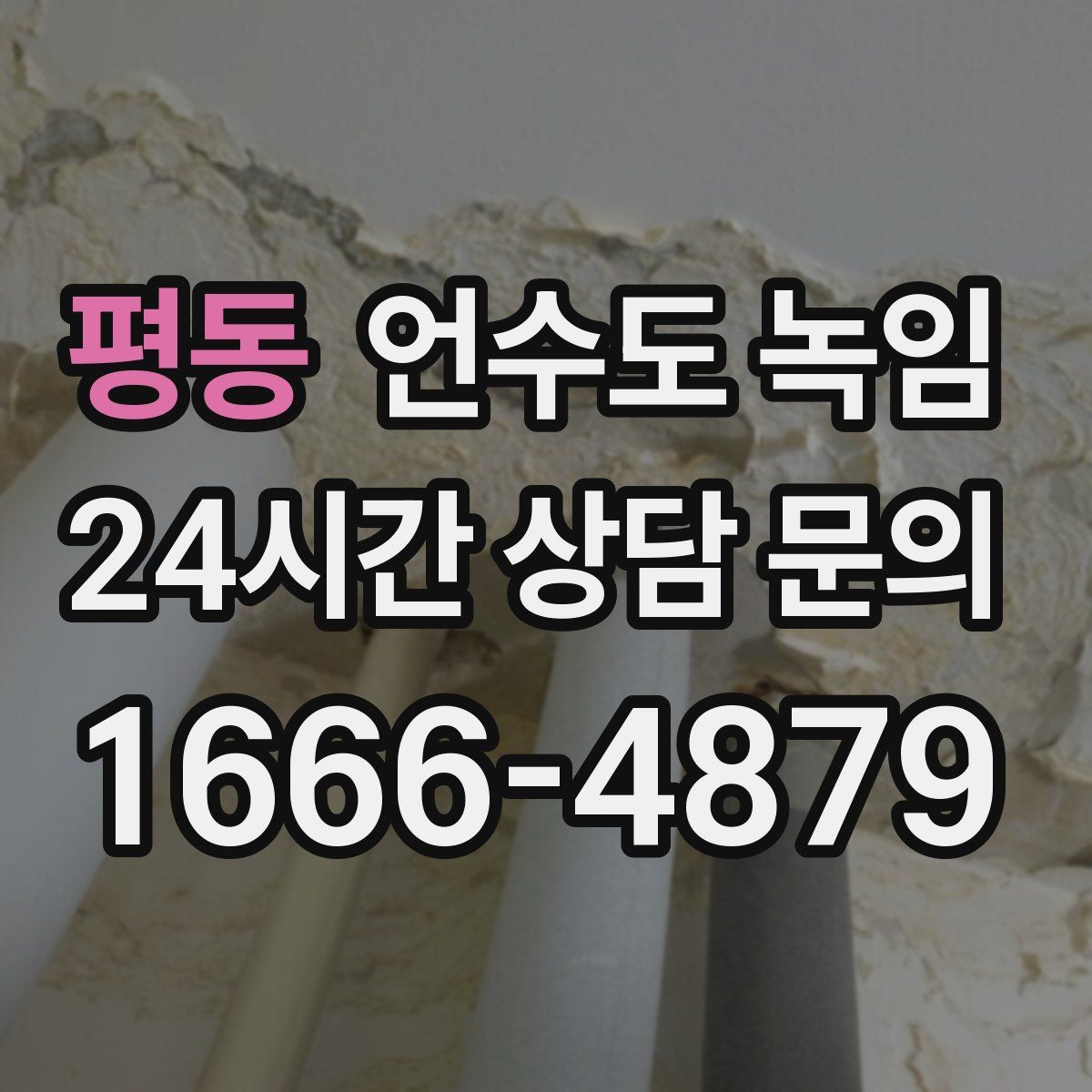 평동 언수도 녹임