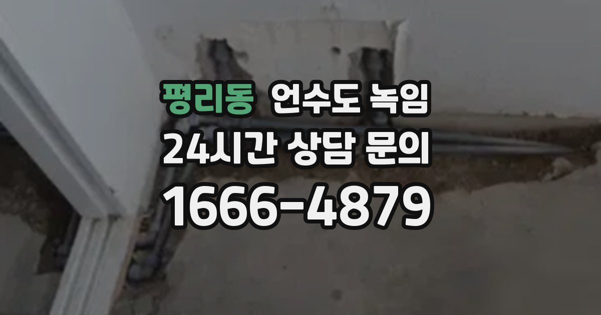 평리동 언수도 녹임