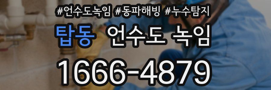 탑동 언수도 녹임