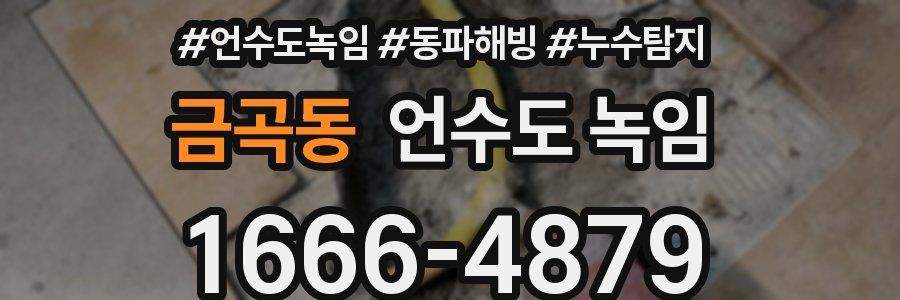 금곡동 언수도 녹임