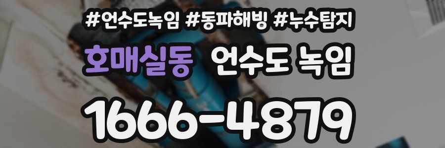 호매실동 언수도 녹임