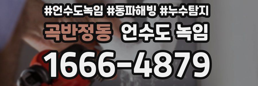 곡반정동 언수도 녹임