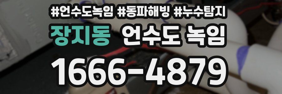 장지동 언수도 녹임