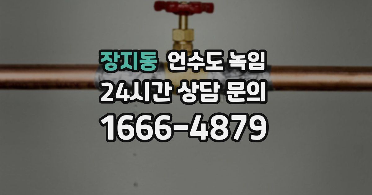 장지동 언수도 녹임