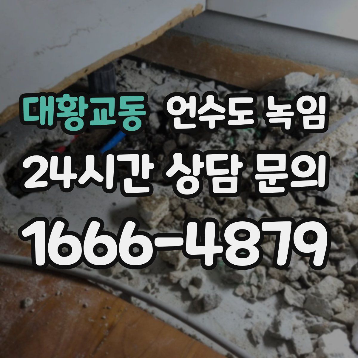 대황교동 언수도 녹임