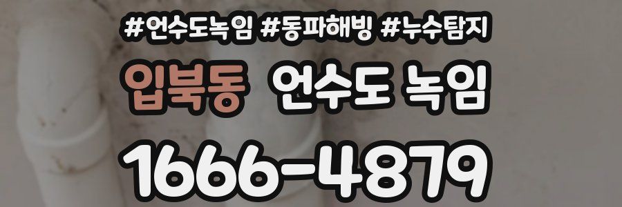 입북동 언수도 녹임