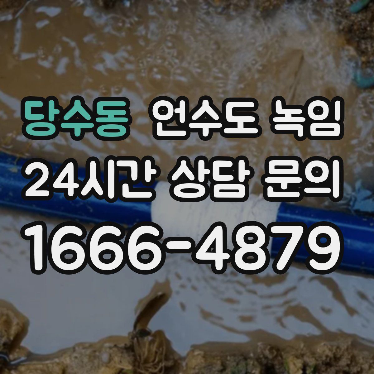 당수동 언수도 녹임