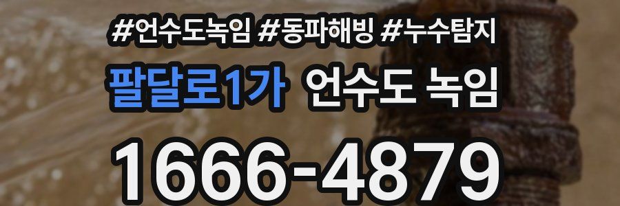 팔달로1가 언수도 녹임