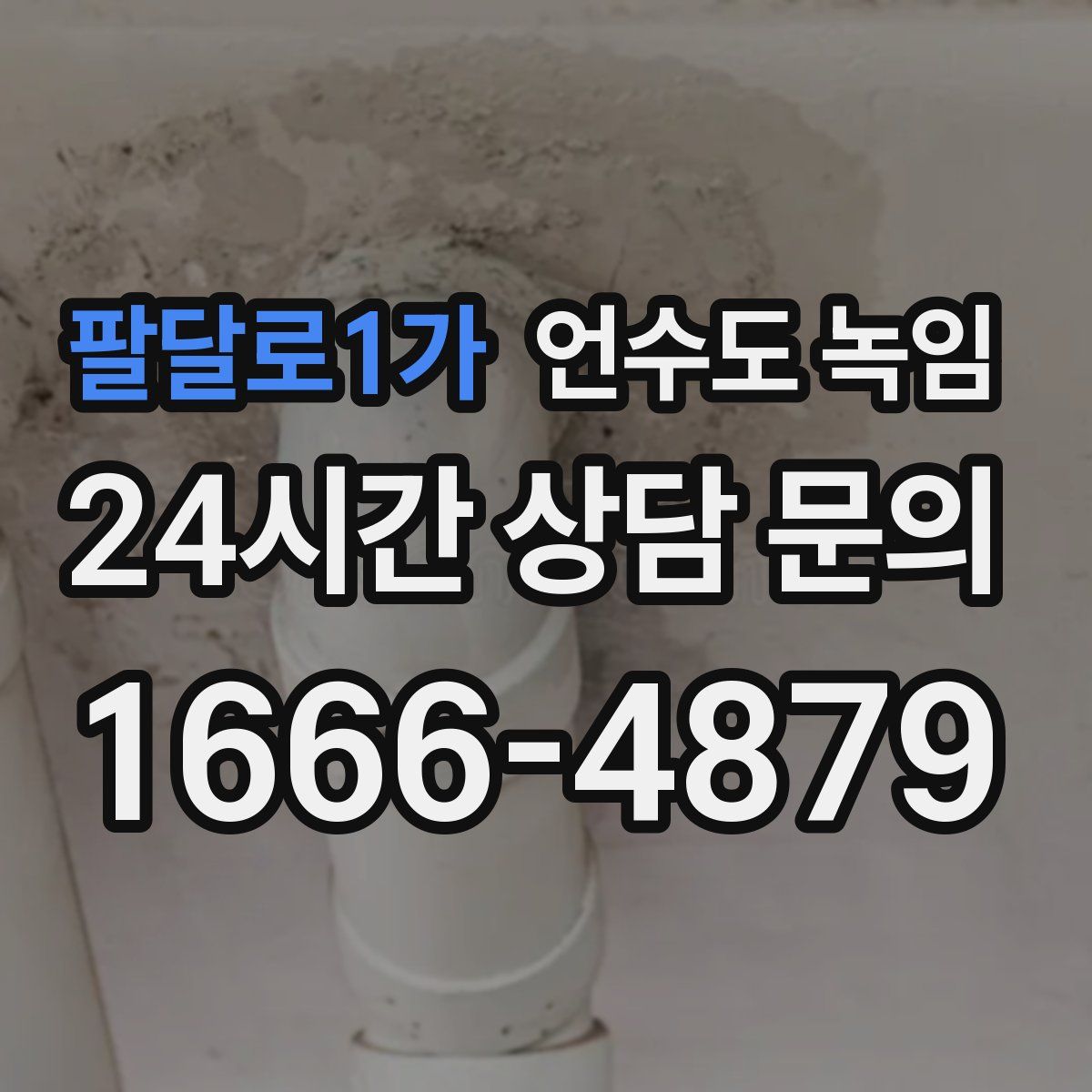 팔달로1가 언수도 녹임