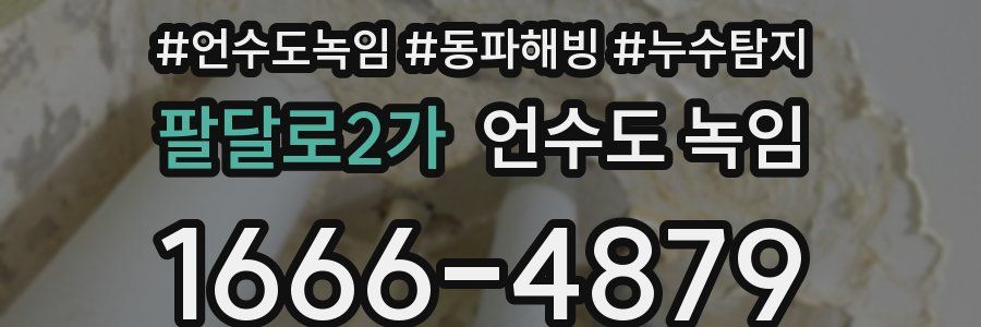 팔달로2가 언수도 녹임