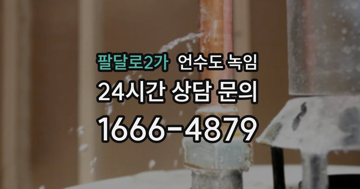 팔달로2가 언수도 녹임