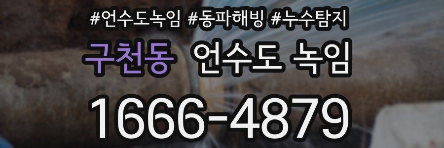 구천동 언수도 녹임