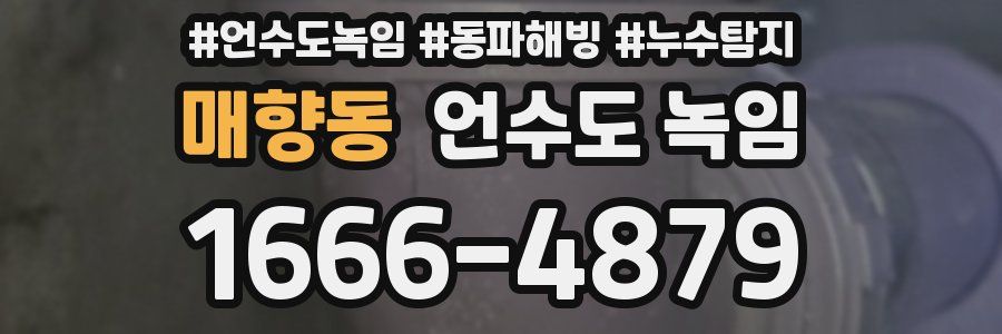 매향동 언수도 녹임