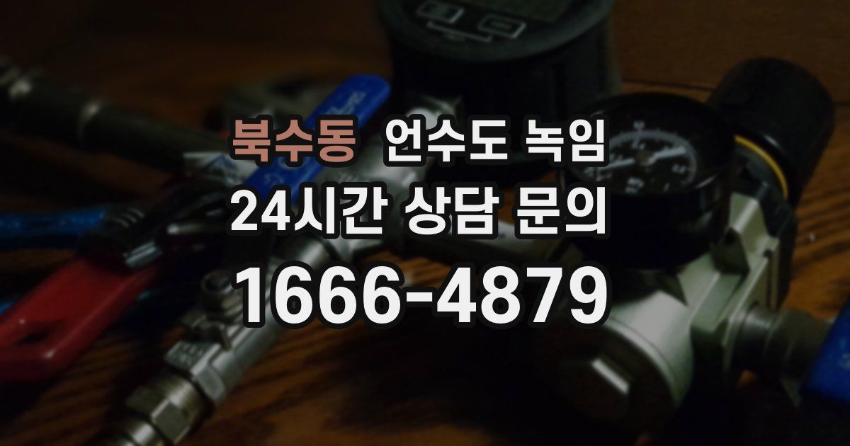 북수동 언수도 녹임