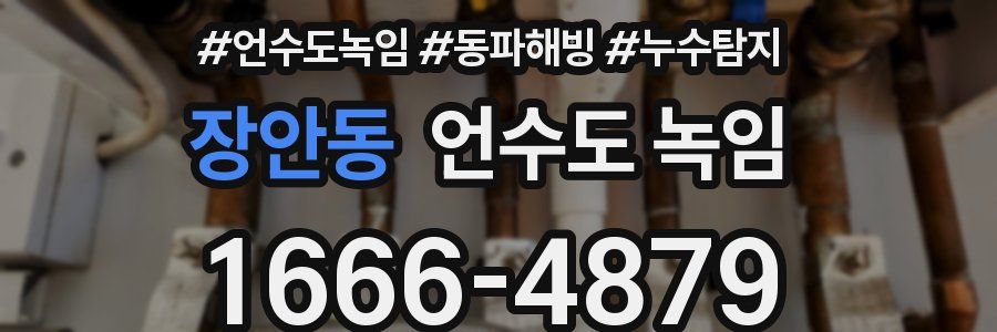 장안동 언수도 녹임